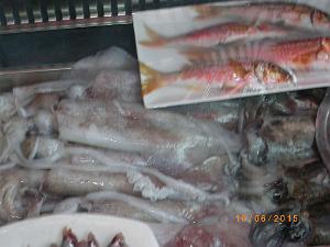2015 06 06 et 07  ALMERIA SANTA CRUZ (146)